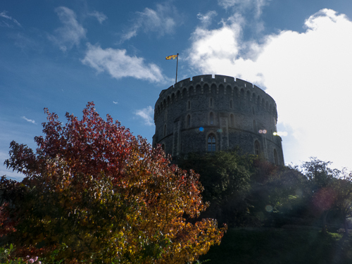 Windsor Colors