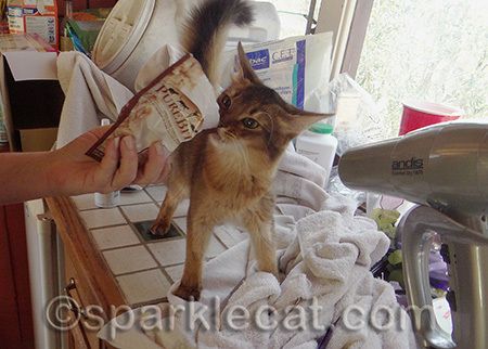 I love freeze dried turkey!