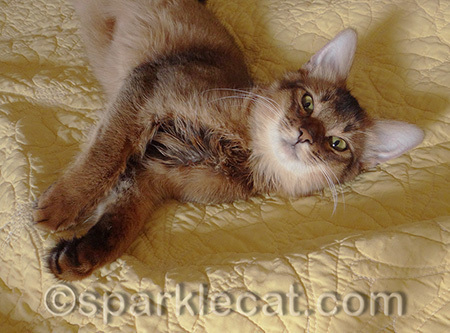 Yes, I do look a little like Sparkle here