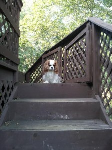 Much happier to just stay home!