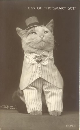 19072r 277x450 Greetings to All