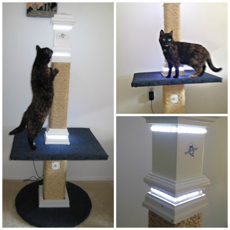 LED_cat_post