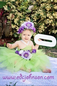 fairy birthday on www.edcjohnson.com