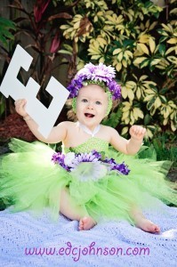 fairy birthday on www.edcjohnson.com