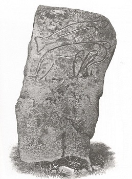 Pictish Craw Stane