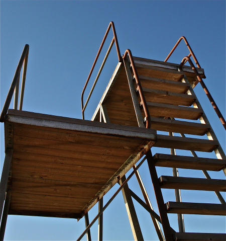 Author Platform