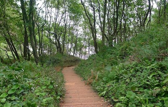 The pathway to the Sea