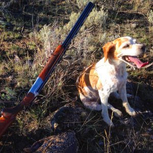 Sunny Girl. No dog ever loved the hunt more. 