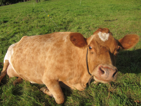 Here's looking at you, E!