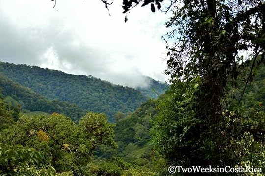 Cloud Forest, San Gerardo de Dota | Two Weeks in Costa Rica
