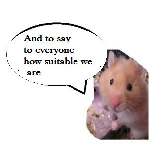 zuthiuu800003888000000000999946