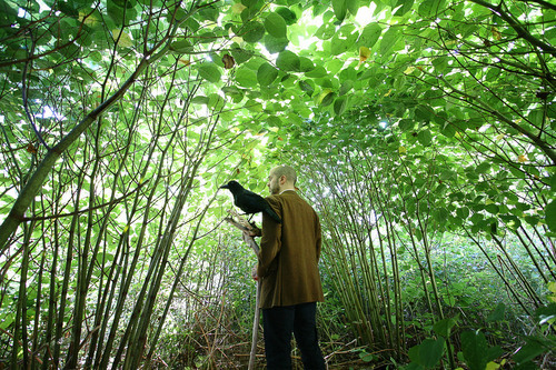 Katie and Aidan fool around in the bamboo cave with my crow and my wide-angle lens.
