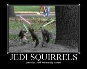 Squirrels, distracting people since... what was I saying? (Picture by pepion11)