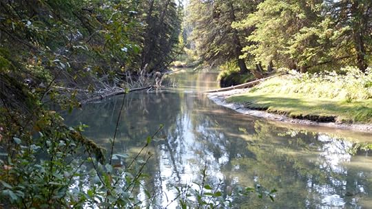 Forty Mile Creek