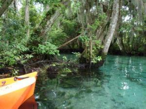 lg_Kayak-Crystal-River-Florida