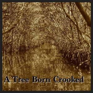 10494540_731133296933295_2942649078238852206_n