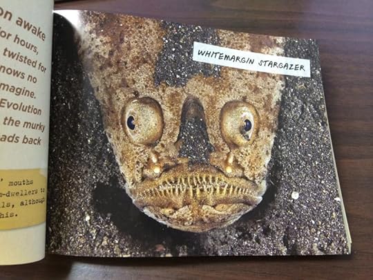  photo photo24_zpsb47ea155.jpg