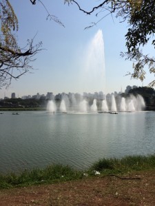 sImg_2977