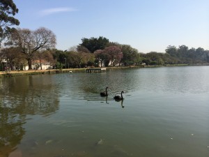 sImg_2973