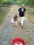 Apple picking