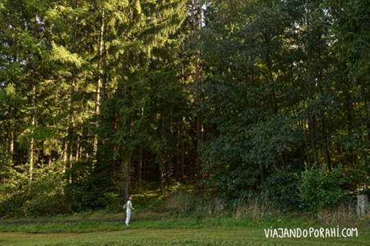 Frente al bosque