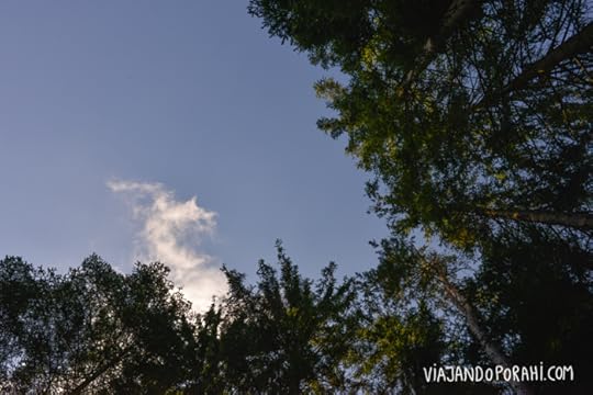 Si mirás hacia arriba ves esto.