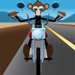 monkey on bike jpeg
