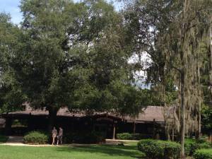 Meadows Trading Post