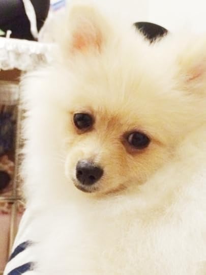 {968CF858-0A99-4202-BA28-27A570CDF557:01}