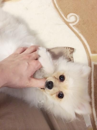 {462005F9-1B52-42DD-A9B5-8AAF8480E8FB:01}