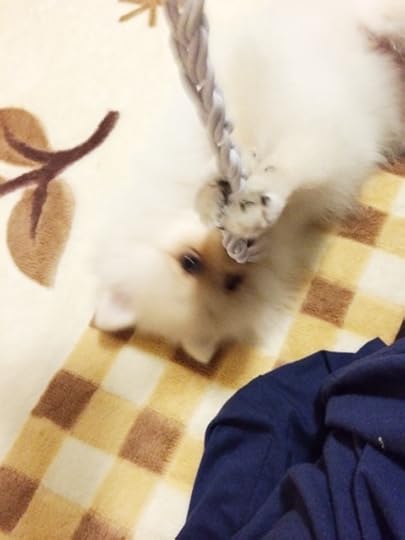 {D4B5B222-9A3E-40BE-A8FB-49A81573D3C2:01}