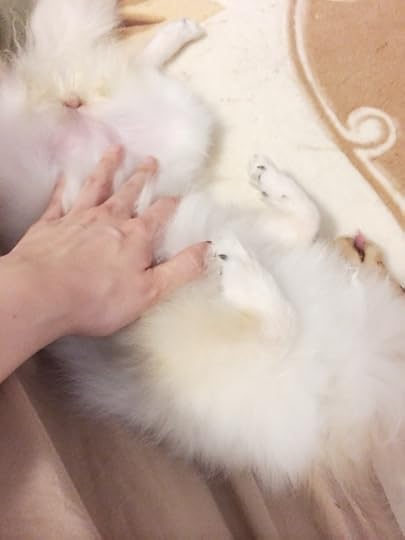 {B2EE0B00-7E95-4676-8539-31F3F5052A49:01}