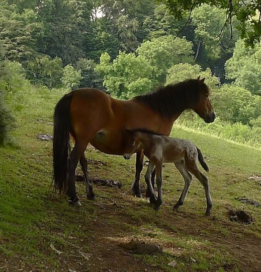 Mother & child