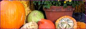 thanksgiving-epiphany-image