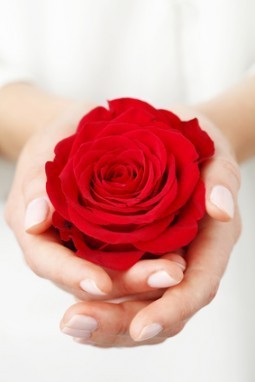 Holding a red rose
