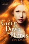 pgoing down in flames by Chris Cannon