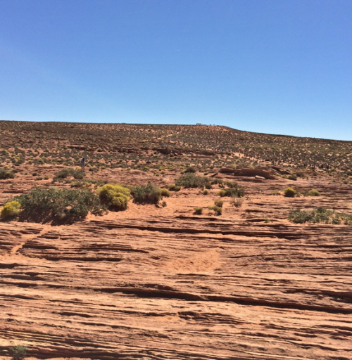 The path starts at the left, and winds its way up to the tiny gazebo at the top, center. After that, there is one more hill and then a steep drop to the parking lot.