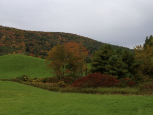 Fall in New England