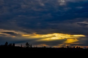 20120322-DSC_0170-XL