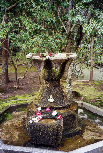 Flower-Decked Fountain