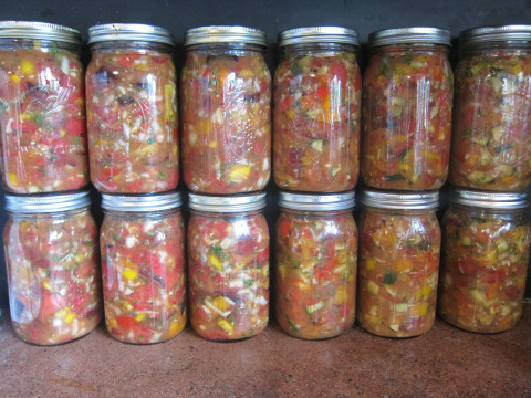 Lacto-fermented salsa. A standby