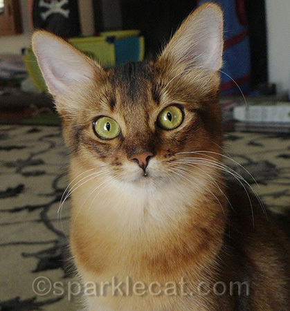 I'm not as innocent as I look... really!