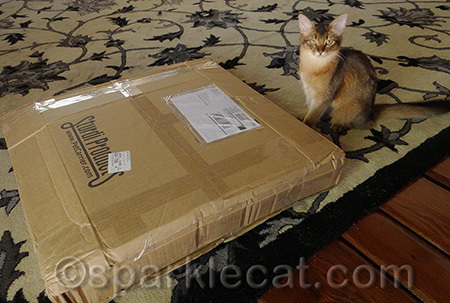 Yes, this was the package Binga was trying to take over in her blog post