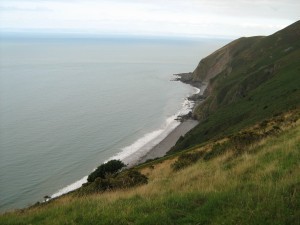 IMG_1793