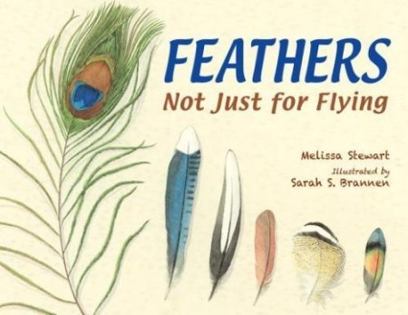 feathers 450x347 Links and Connections