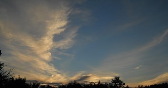 DSCN5070
