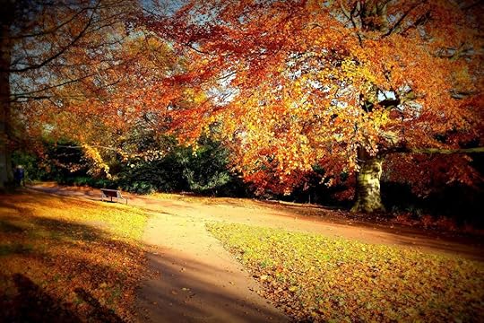 fall