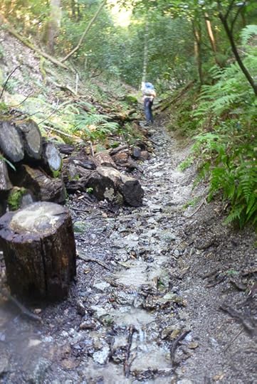 Muddy you walk along/in a stream for just the first few minutes -- Copyright 2014 Jeffrey Friedl, http://regex.info/blog/