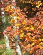 Copy of IMG_2097_edited