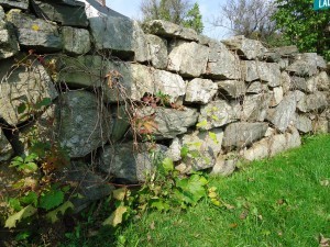 Stone wall in Early Autumn